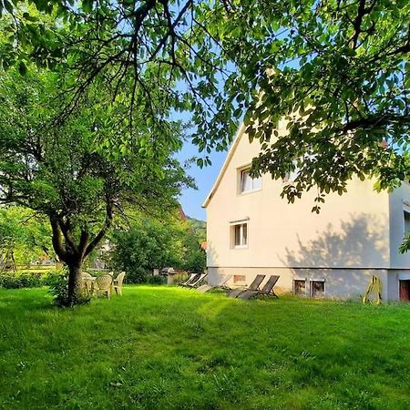 Rooms 4 Persons Kaysersberg מראה חיצוני תמונה