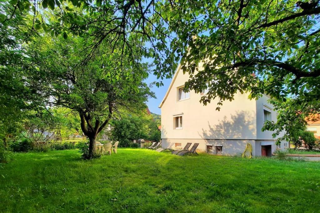 Rooms 4 Persons Kaysersberg מראה חיצוני תמונה