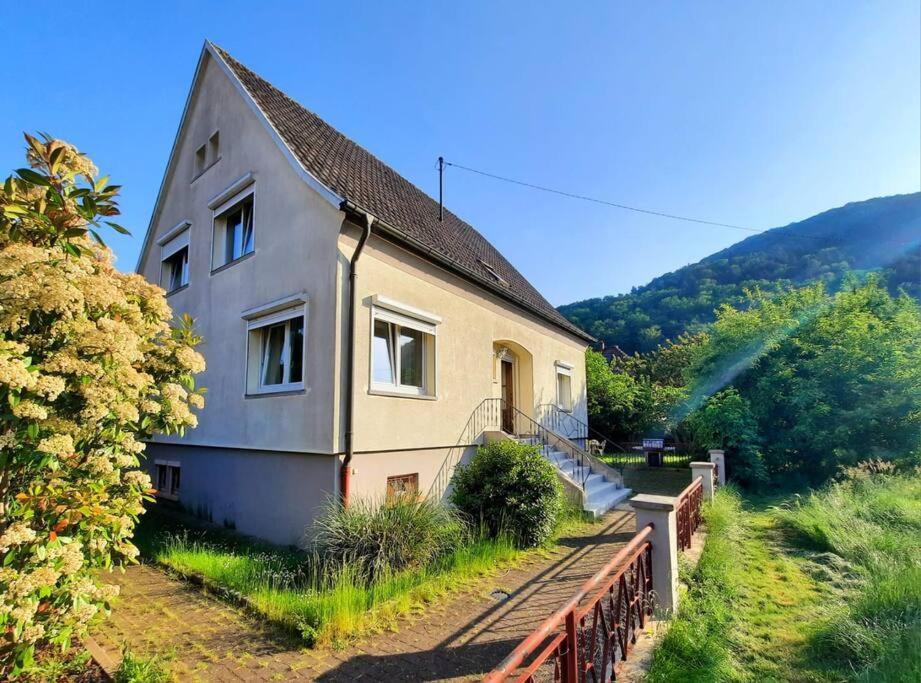 Rooms 4 Persons Kaysersberg מראה חיצוני תמונה